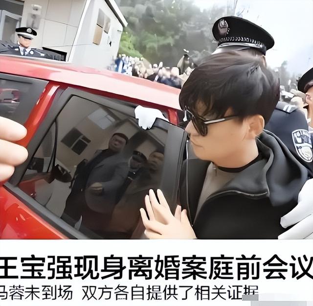 王宝强没想到，和马蓉离婚9年后，自己的一双儿女开始为他争光了