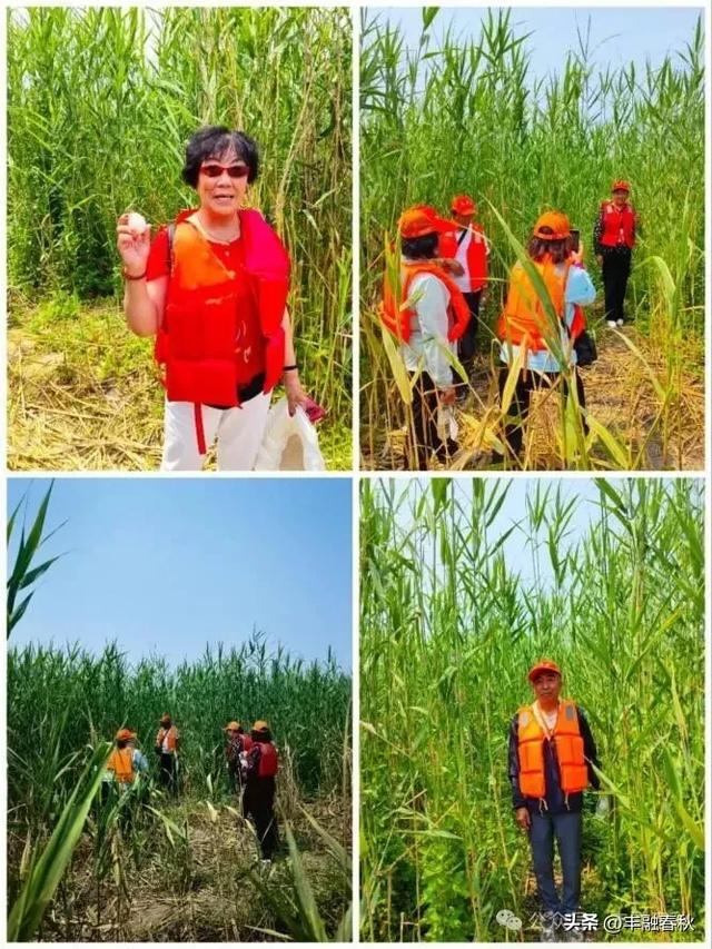 大雁号专列东北旅行记(五)——邂逅河北之美|王玉新