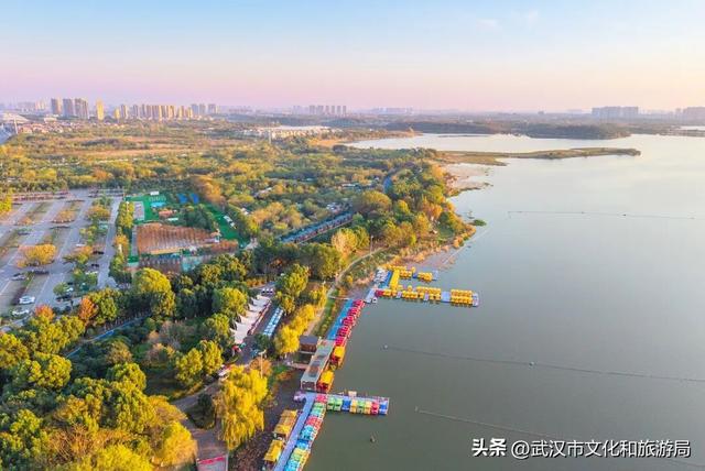 速看！蔡甸元旦跨年活动来了，迎接2026！