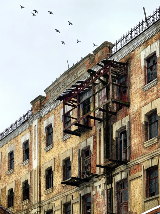 我是湖南人，在哈尔滨待了几日，这 4 个感受和疑惑忍不住想说。