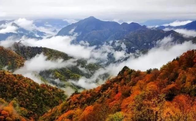 闯入秦岭秘境！黄柏塬红叶全攻略，藏着“小九寨”的隐藏玩法