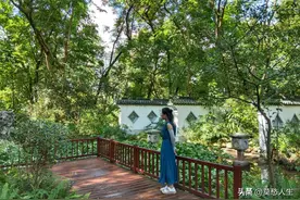 太悲哀了，这个视频让我想到以后的养老要靠谁图片