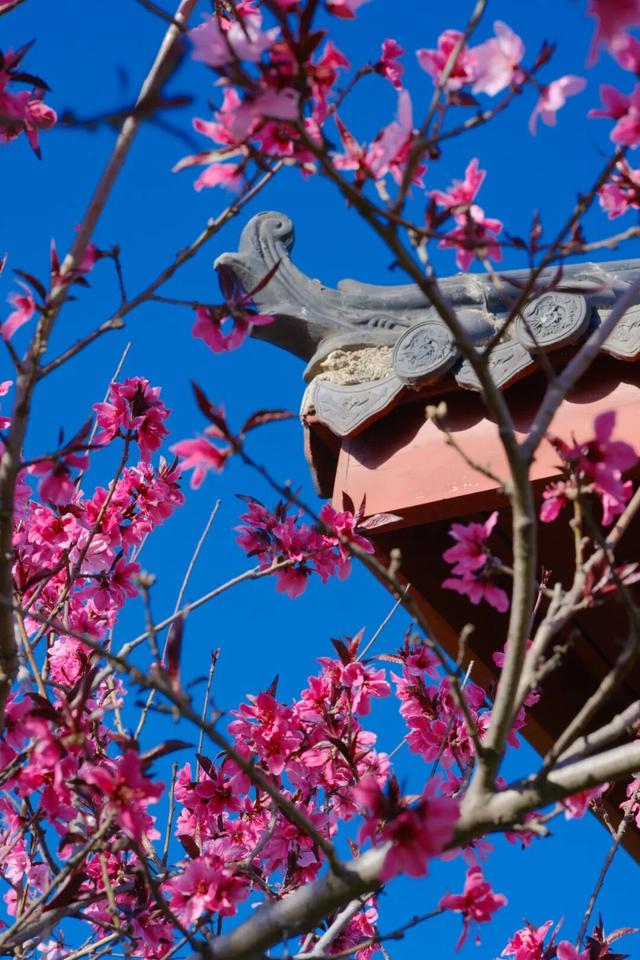 2025四季巡礼！100位寻美客邀你共绘最美泉城图鉴