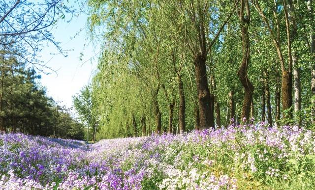 女人想“睡”你时，才邀请你做这3件事；别傻不知道