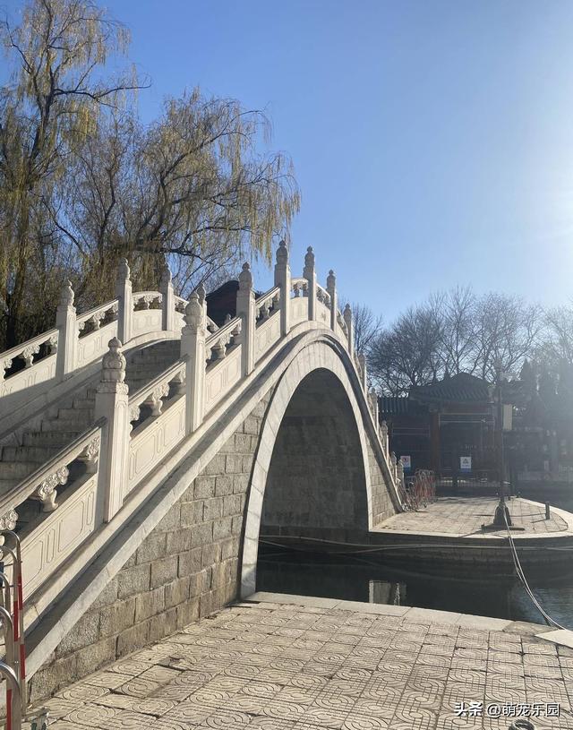 紫竹院冬日偶遇退休教授，一句话让我明白生活9个层次