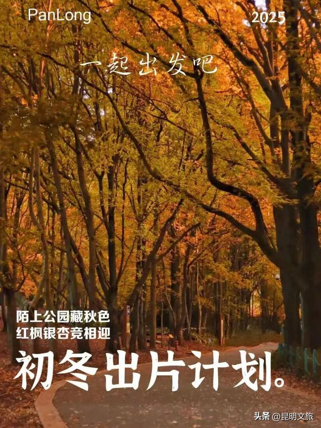 初冬氛围感出片计划，走起！昆明这份打卡攻略速速收藏→