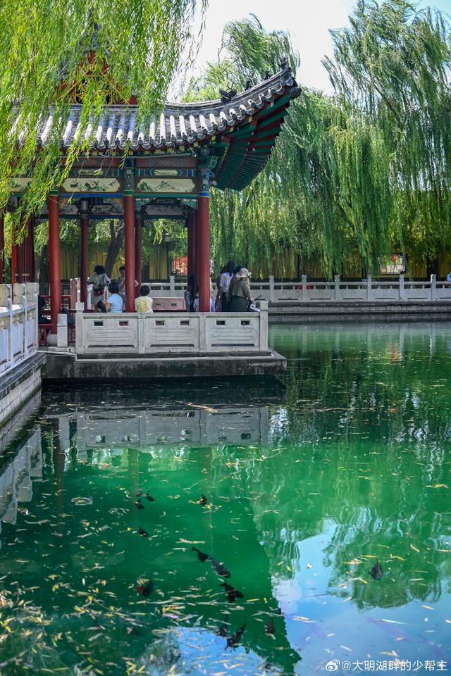 济南私藏“珍珠秘境”，景美免费！像闯进童话世界~