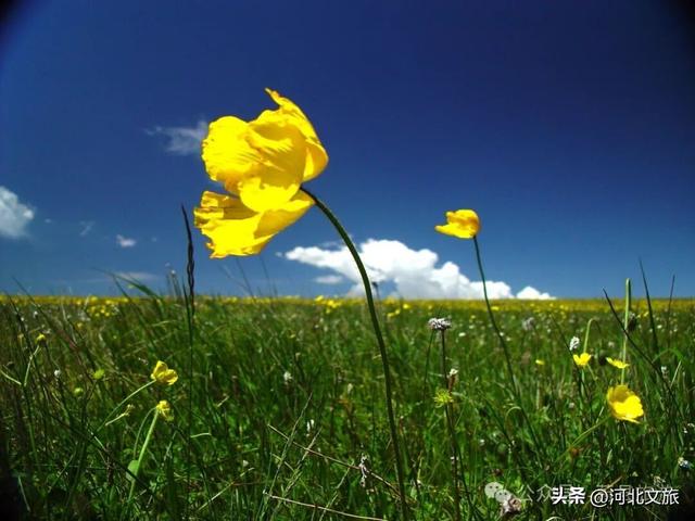 高山草甸、峡谷奇观，这座小城是被低估的自然宝藏