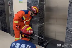 注意！冬天也有蛇出没！银环蛇窜入电梯井 ，消防员抓捕后放生图片