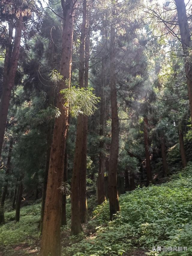 六盘水，一个夏天去了就想长住的地方