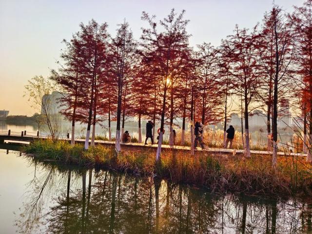 要火！太出片了！阜阳这里竟美到窒息，很多人不知道，赶紧去！多图拍下！