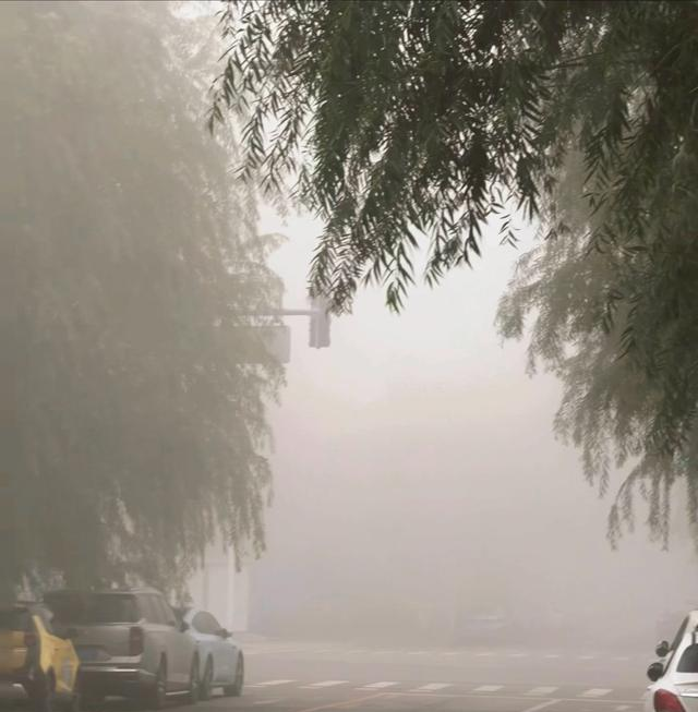 冬跑遇“朦胧”别硬冲！3招分清雾与雾霾	，夜跑vs晨跑答案藏在这