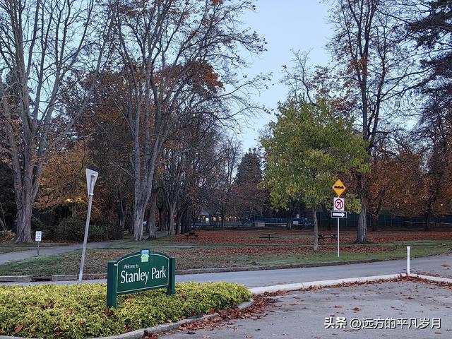 温哥华游记（四）