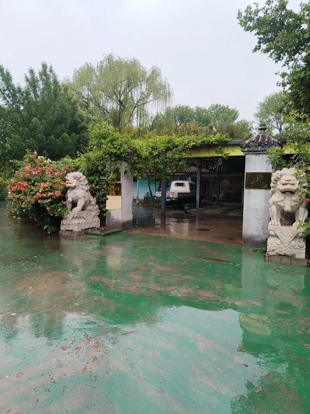 天津雨中的《红光公园》