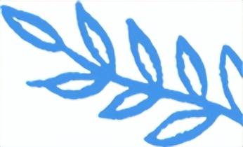 额尔古纳2025冬季旅游交出亮眼答卷