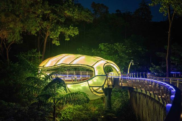 广州亲子研学，夜游植物园，走进大自然的夜课堂