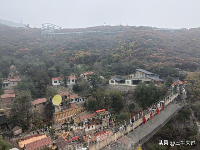 无为在歧路，柿岩之红叶