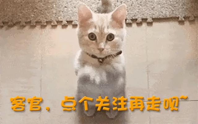 令人作呕！福耀科技大学分数公布仅几天，恶心一幕上演，学生回应