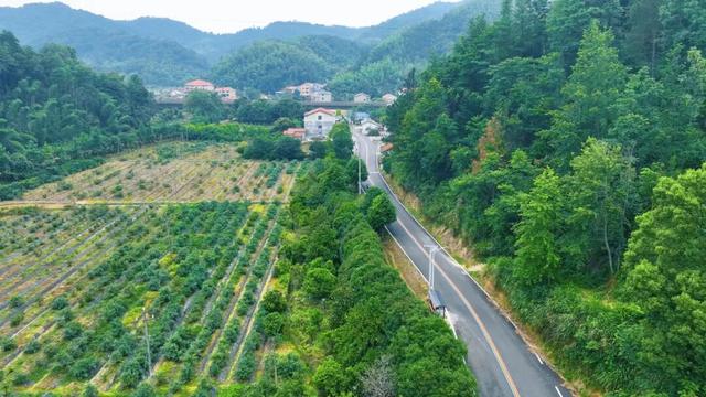 岳阳这条路美出了名！