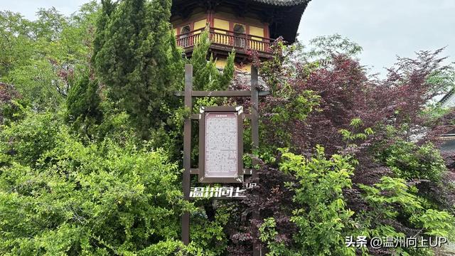 温州这座出土了众多国宝的“宝藏古镇”,能否成为下一个梧田老街