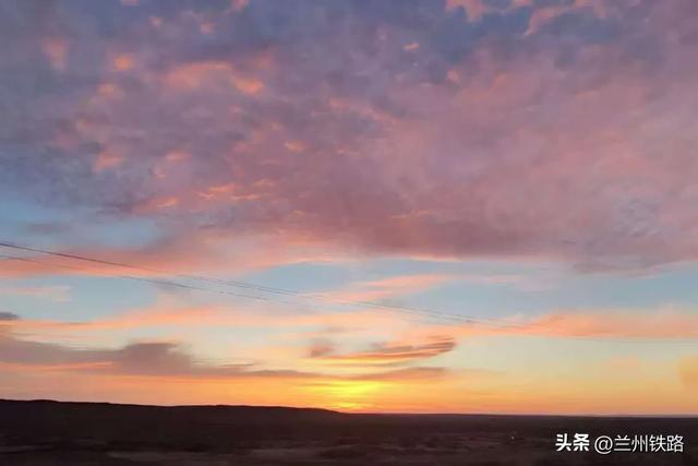 #“我的铁路风景”故事汇#戈壁滩上的梭梭树