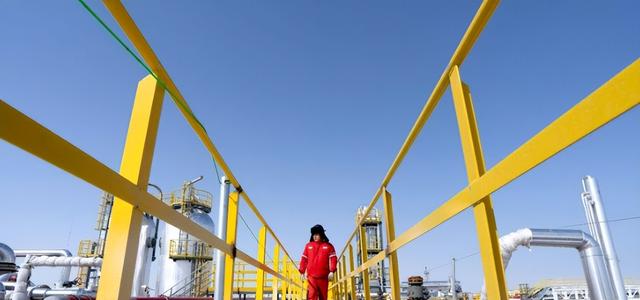 新疆3月17日资讯