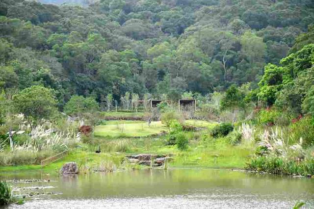 深活指南 | 重阳登高，收藏来自深圳山海的秋日问候​~