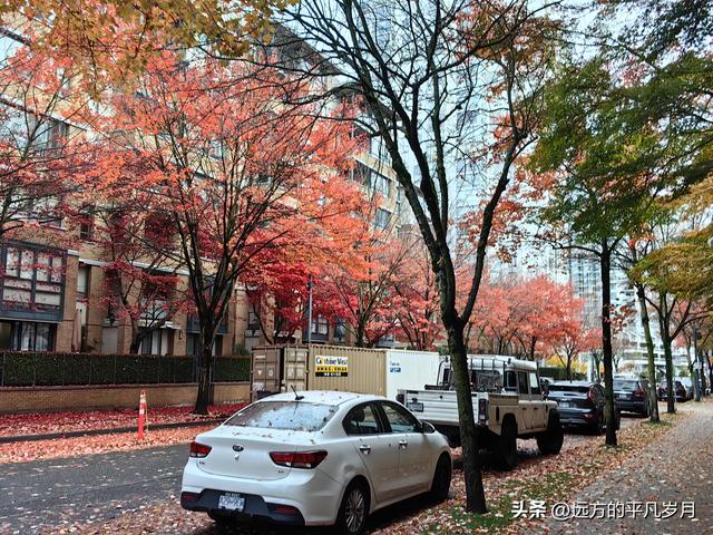 温哥华游记（六）