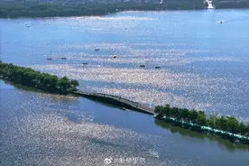 38℃是常态，40℃也要出现，41℃也不是没可能！浙江人民的真正“烤验”来了图片
