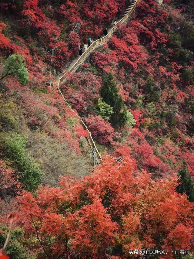 秋染山河