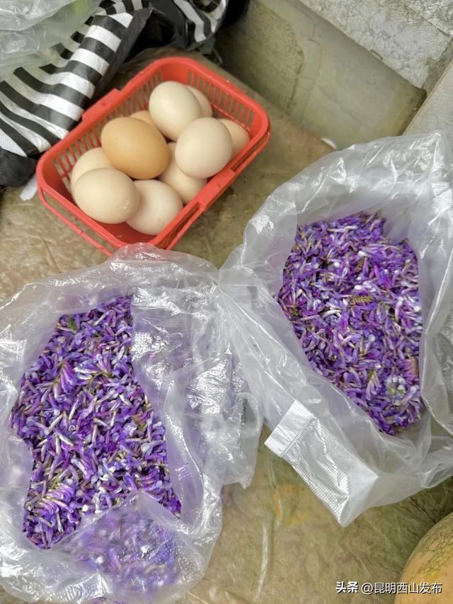 昆明乐居村一日游｜在600年彝族古村落里，寻“向往的生活”