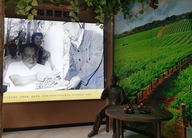 游新疆吐鲁番的坎儿井和葡萄沟