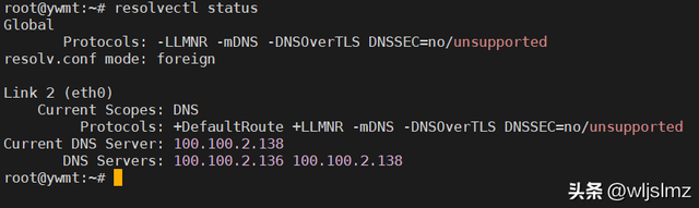 如何在 Linux 中检查 DNS 服务器 IP 地址？