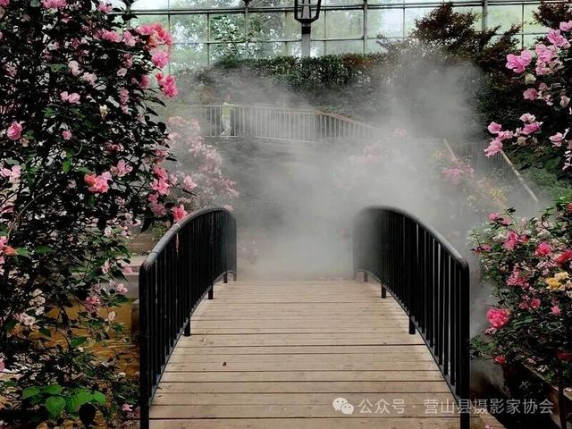 李永辉：寻芳“花舞人间”