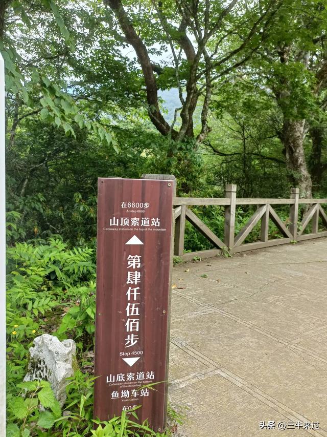 无为在歧路，贵州六日行（15）～梵净山
