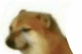 表情包：快死了这条心吧！图片