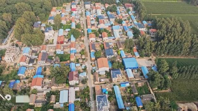 魅力曹县楼庄镇