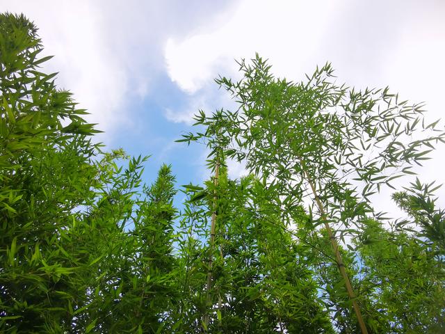 手机被1.4万张照片撑爆	，我才明白这个道理