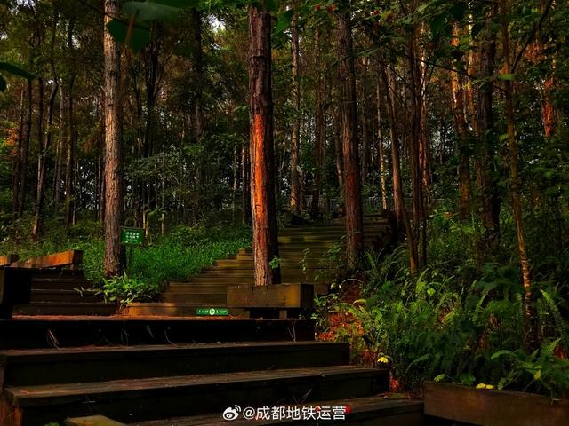 10号线周边！新津“绿野仙踪”藏不住了！