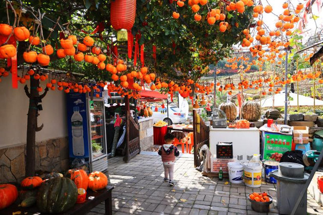 威海里口山秋日画卷 邀您来赏