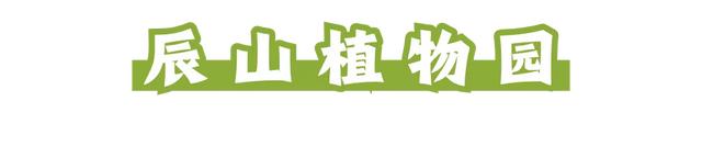 周五宠粉日｜运动赏景两不误！这份公园运动指南请查收，更有辰山植物园门票等你免费领