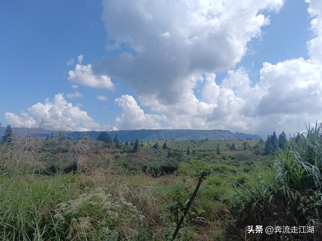 逛广东大峡谷，路过大布镇的农贸市场