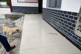 在农村，农民建房一层为何不贴地板砖，选择水泥地面？图片