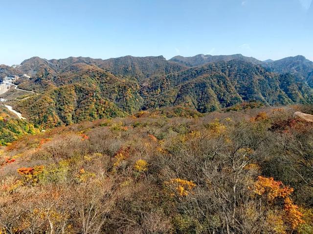 听劝!别再去光雾山米仓山人挤人,红叶没有啦!