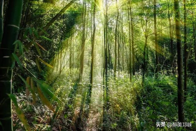 远离人潮，步入乾龙湖最原始的自然样本