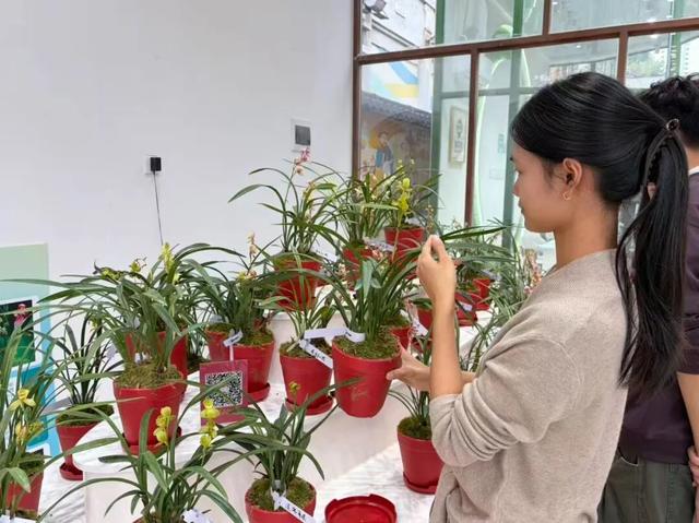 以兰为媒，龙岩连城深化广龙对口合作！