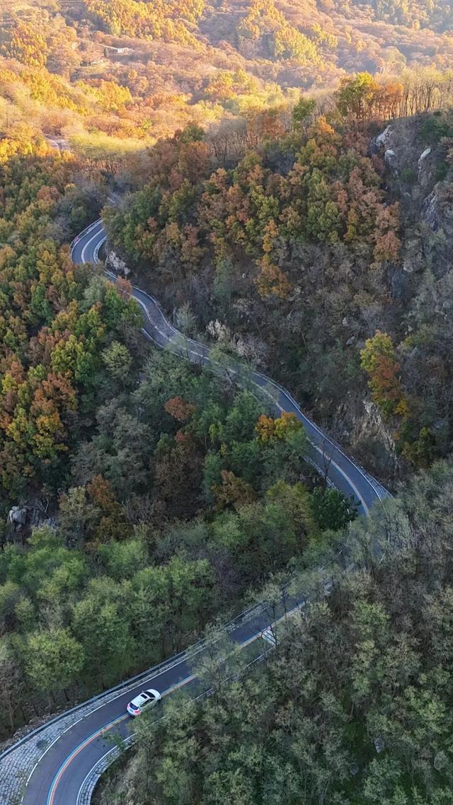 璀璨斑斓！日照这条路，现在美到不像话！