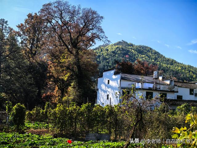 鄂湘赣自驾游记之五（2）：婺源石城、彩虹桥、思溪延村