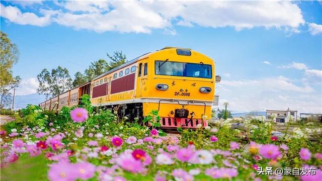 @大理队 来战，游玩我们包！