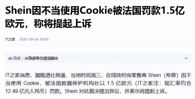 SHEIN的全球崛起，为什么让法国坐不住了？